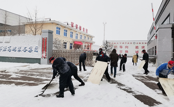 山東金格瑞的同事們第一時間積極自發的參與到掃雪行動中.jpg